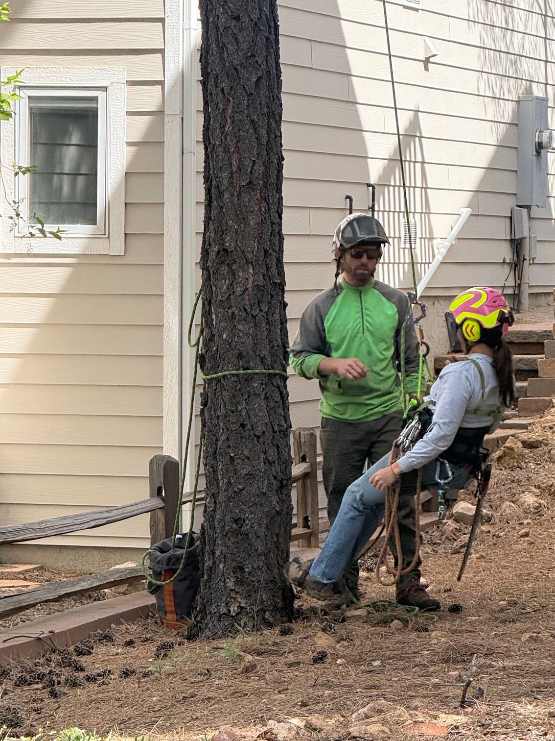 Two workers in safety helmets sit on a swing near a house beside a large tree trunk.