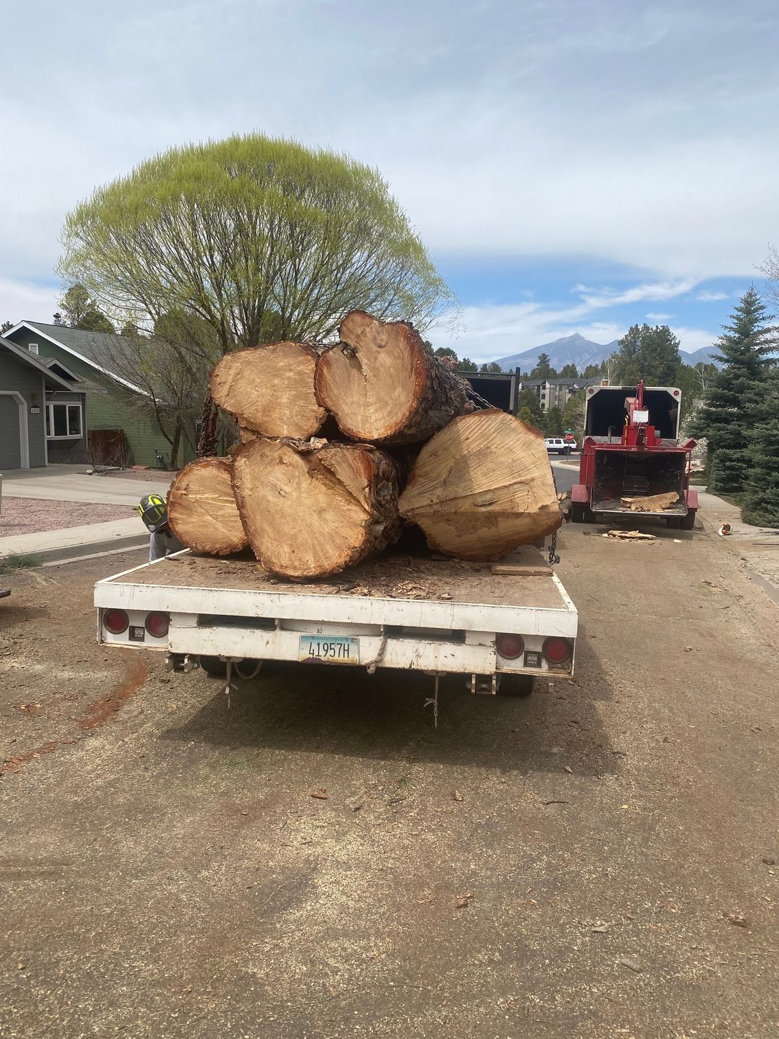 Flatbed trailer loaded with large cut logs on a gravel lot, with a small tractor in the background.