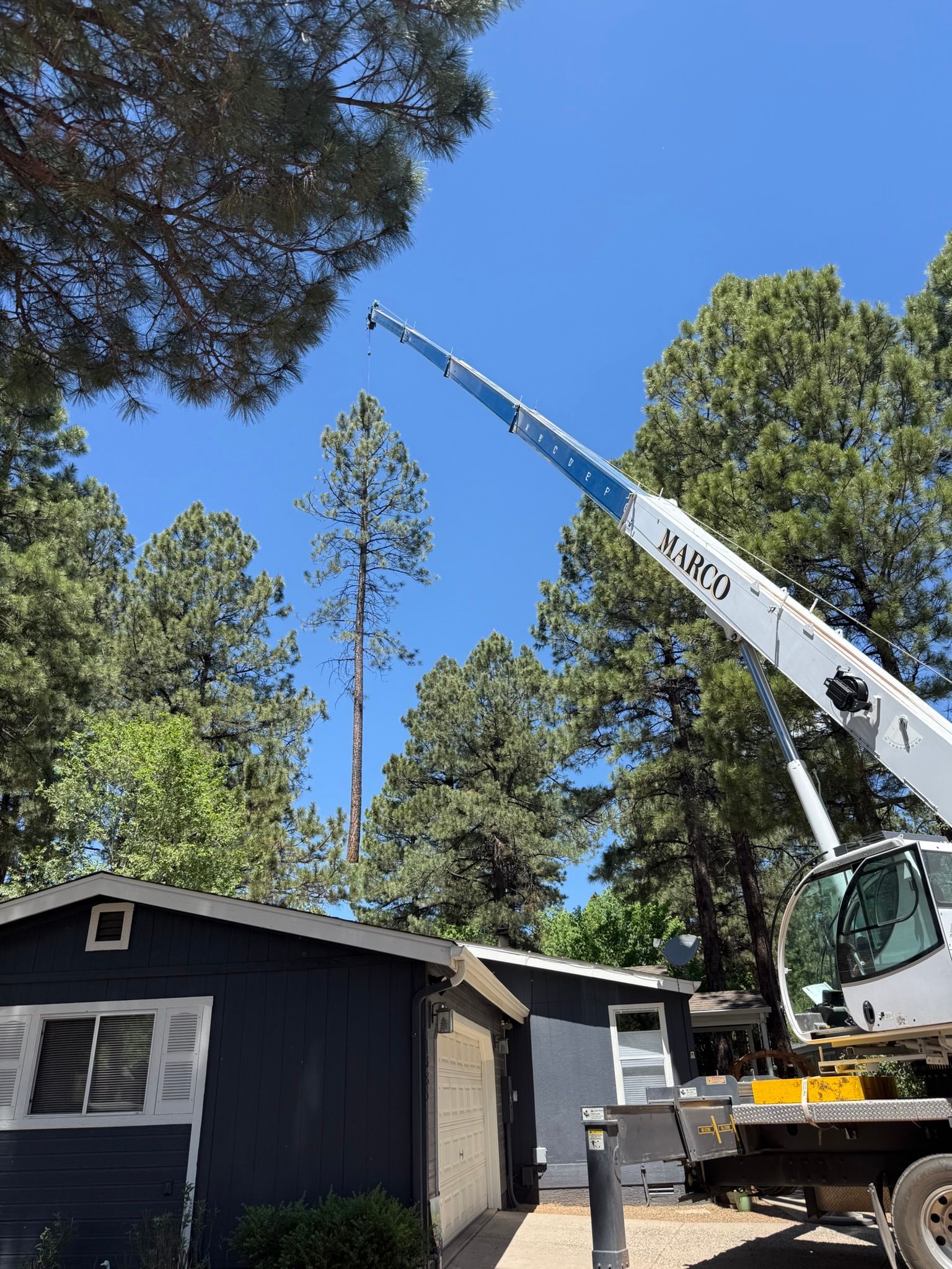 Crane lifting a tall tree beside a dark house under a clear blue sky.