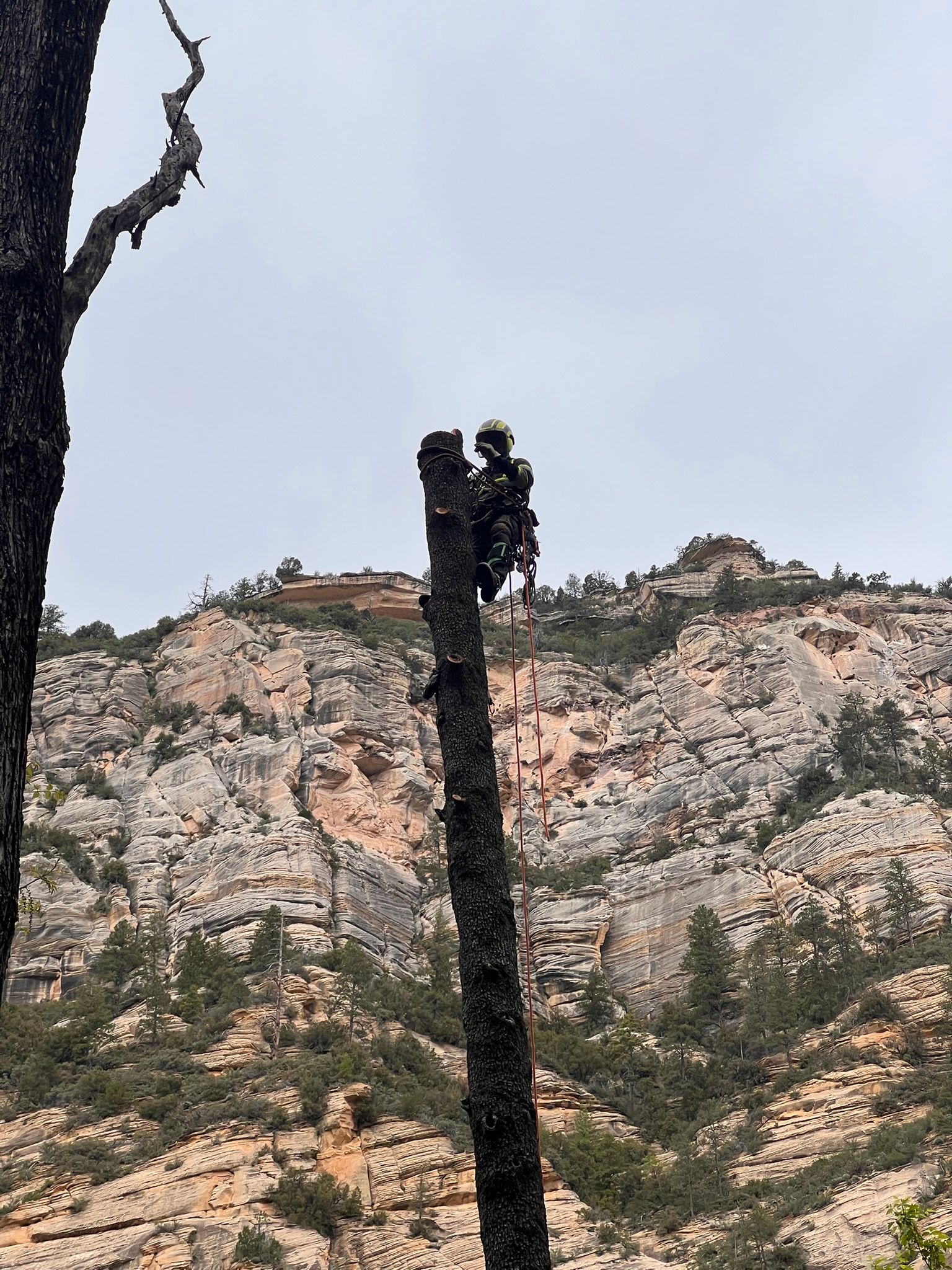 Rocky mountain cliff with sparse trees under a pale sky