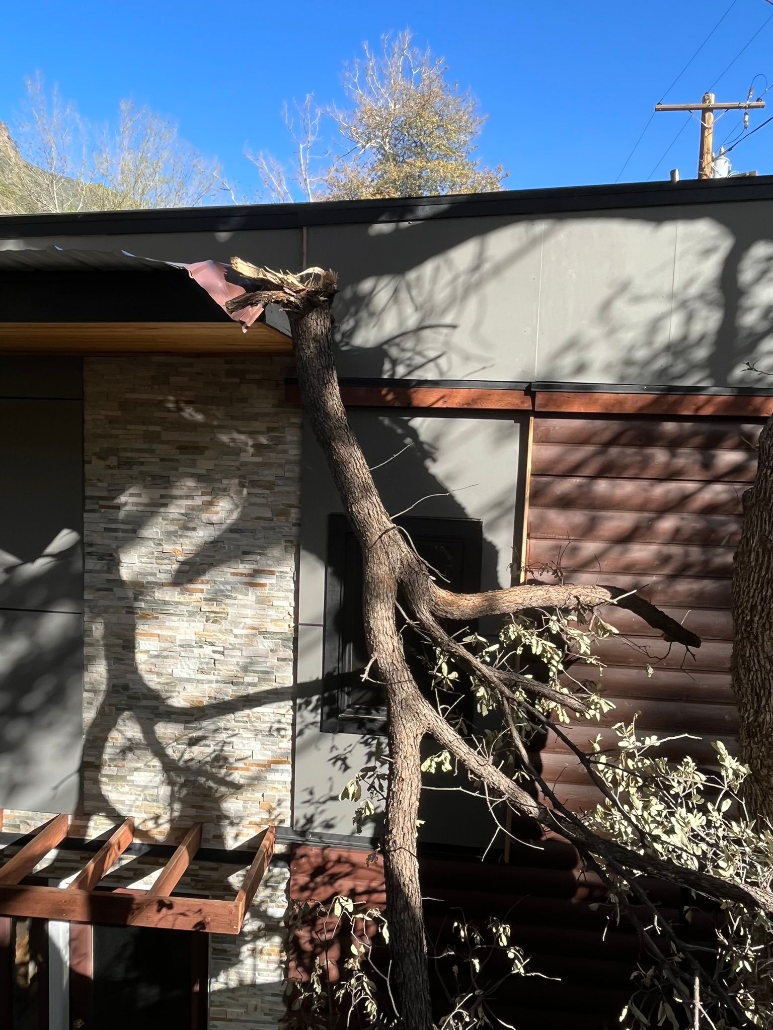 Damaged house exterior with a fallen tree branch resting against the roof and wall