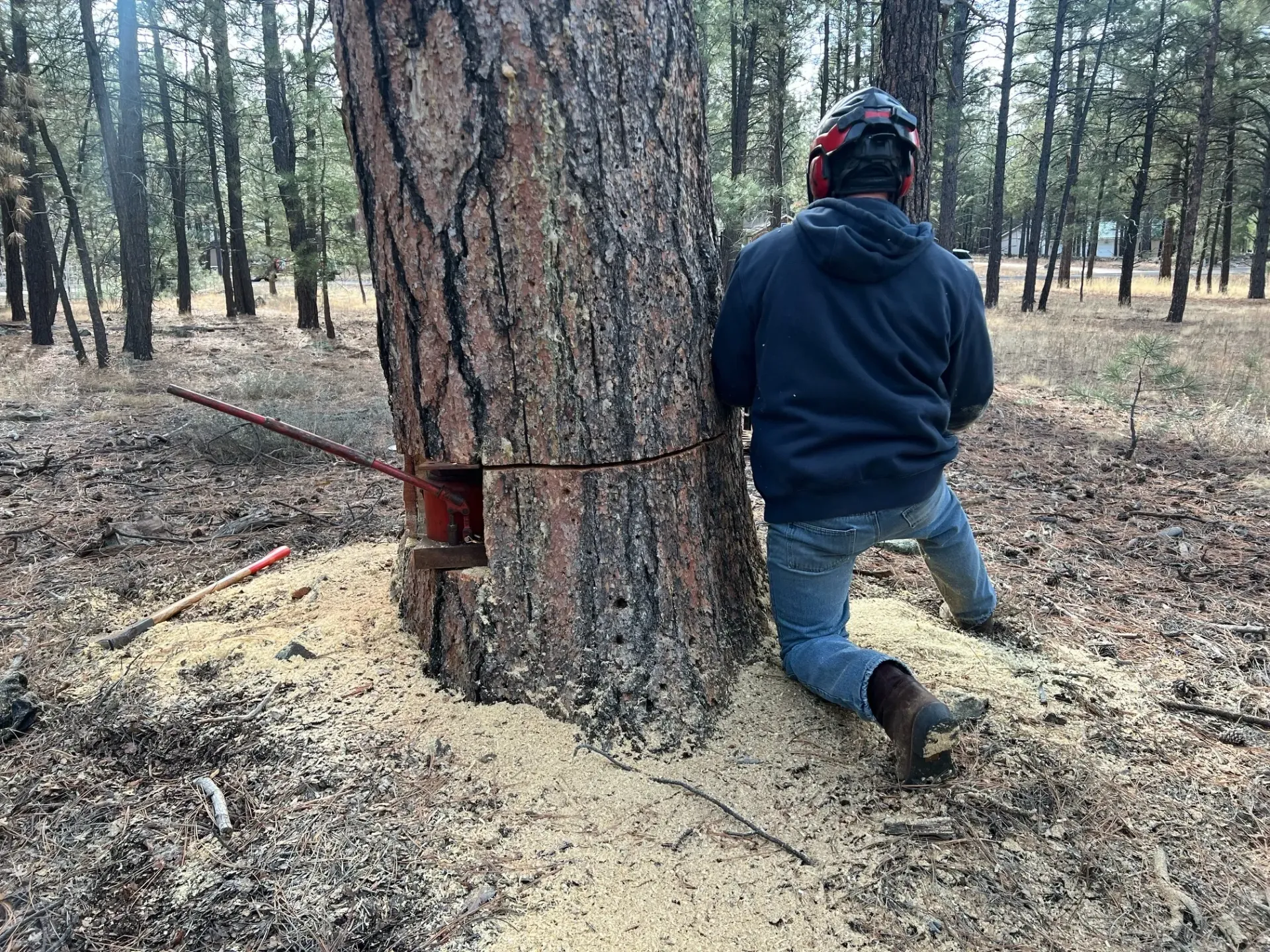 Person using a chainsaw to cut a log outdoors beside stacked cut wood.