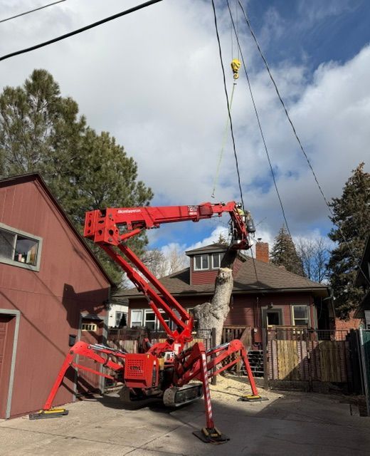 Red lift crane raising a large tree trunk beside a house in a driveway under a blue sky.