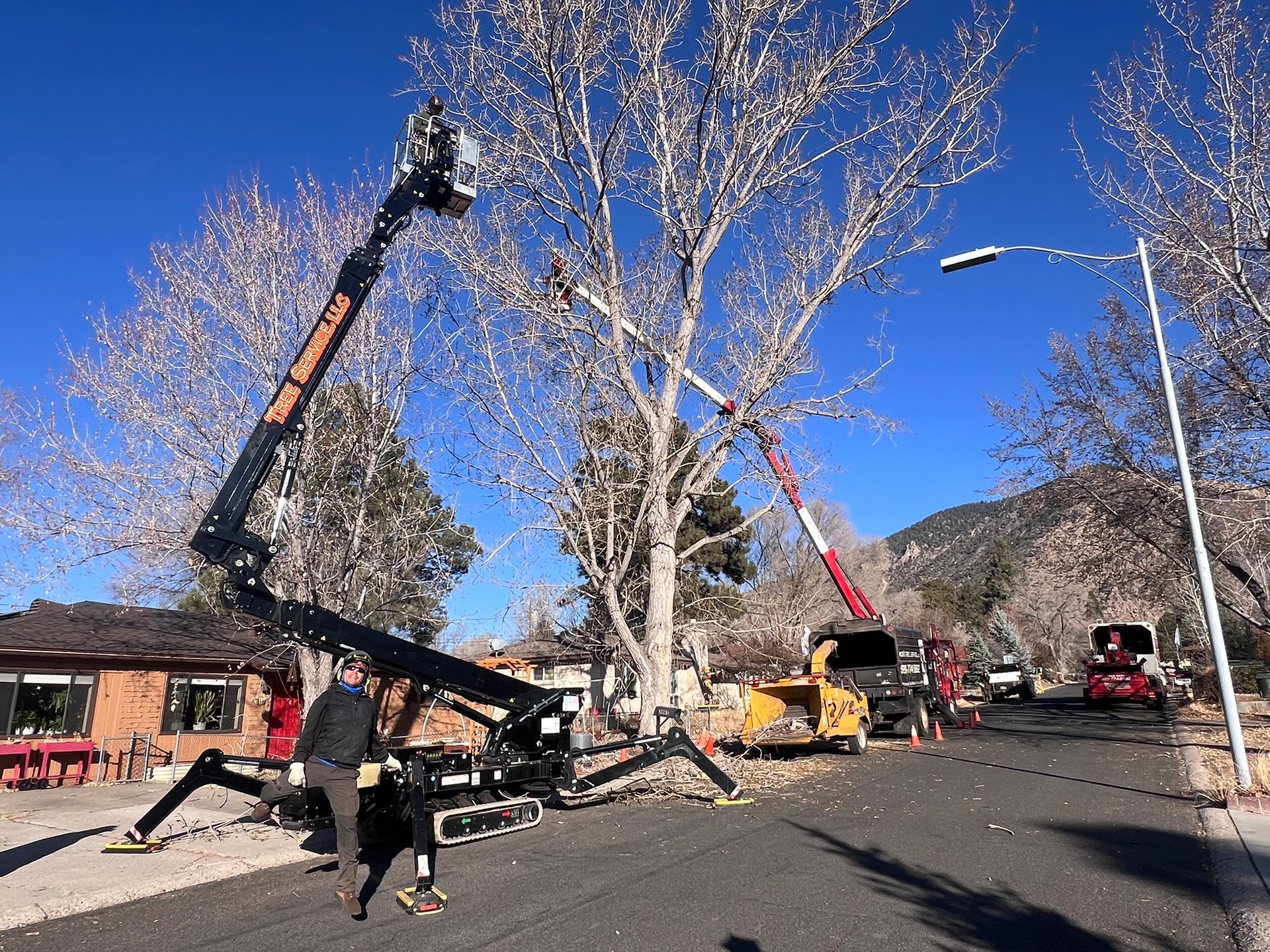 Crane lifting a fallen tree beside a road with workers and emergency vehicles under a clear blue sky