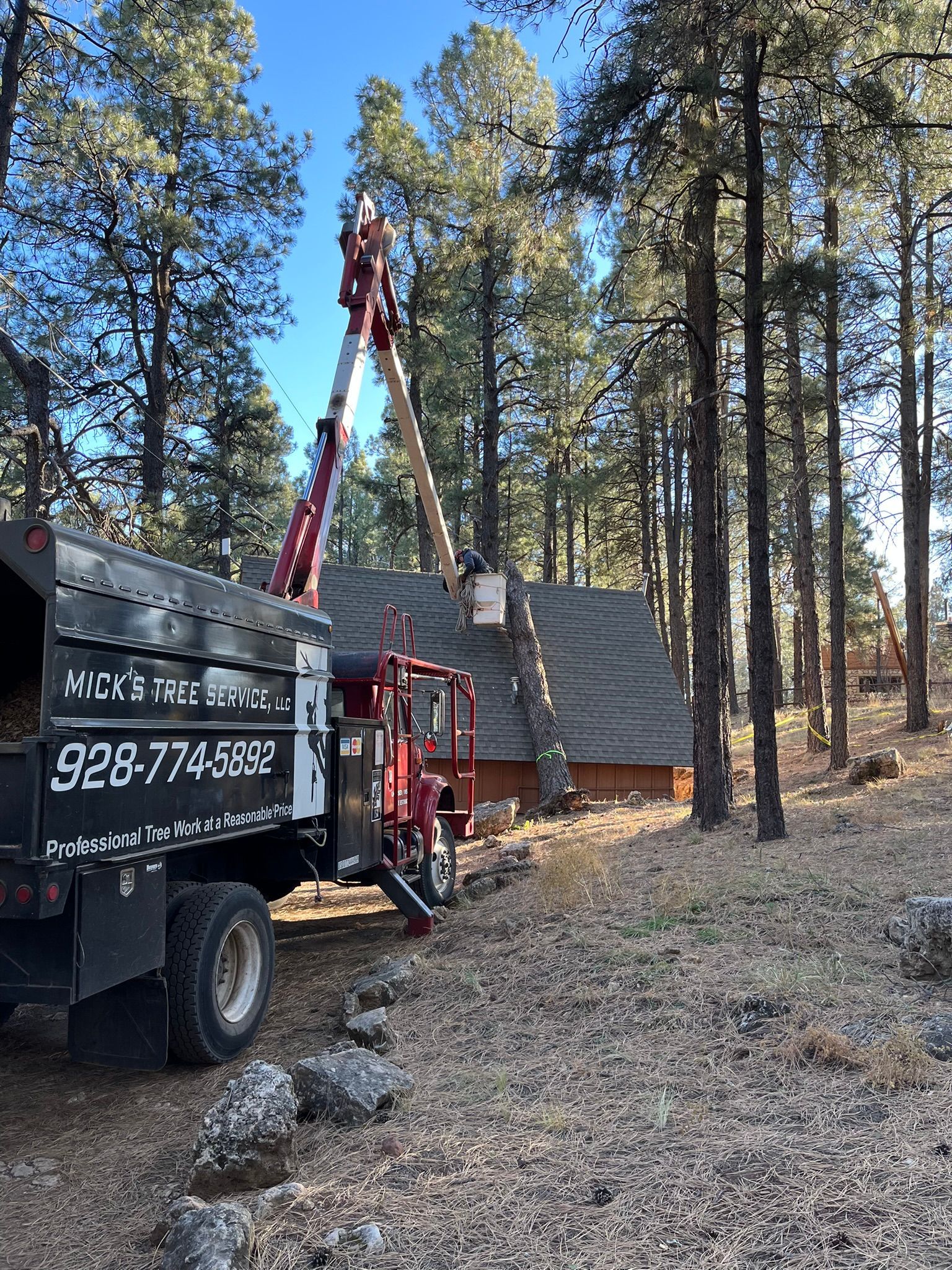 Crane truck lifting a cabin in a wooded area with tall pine trees and gravel ground