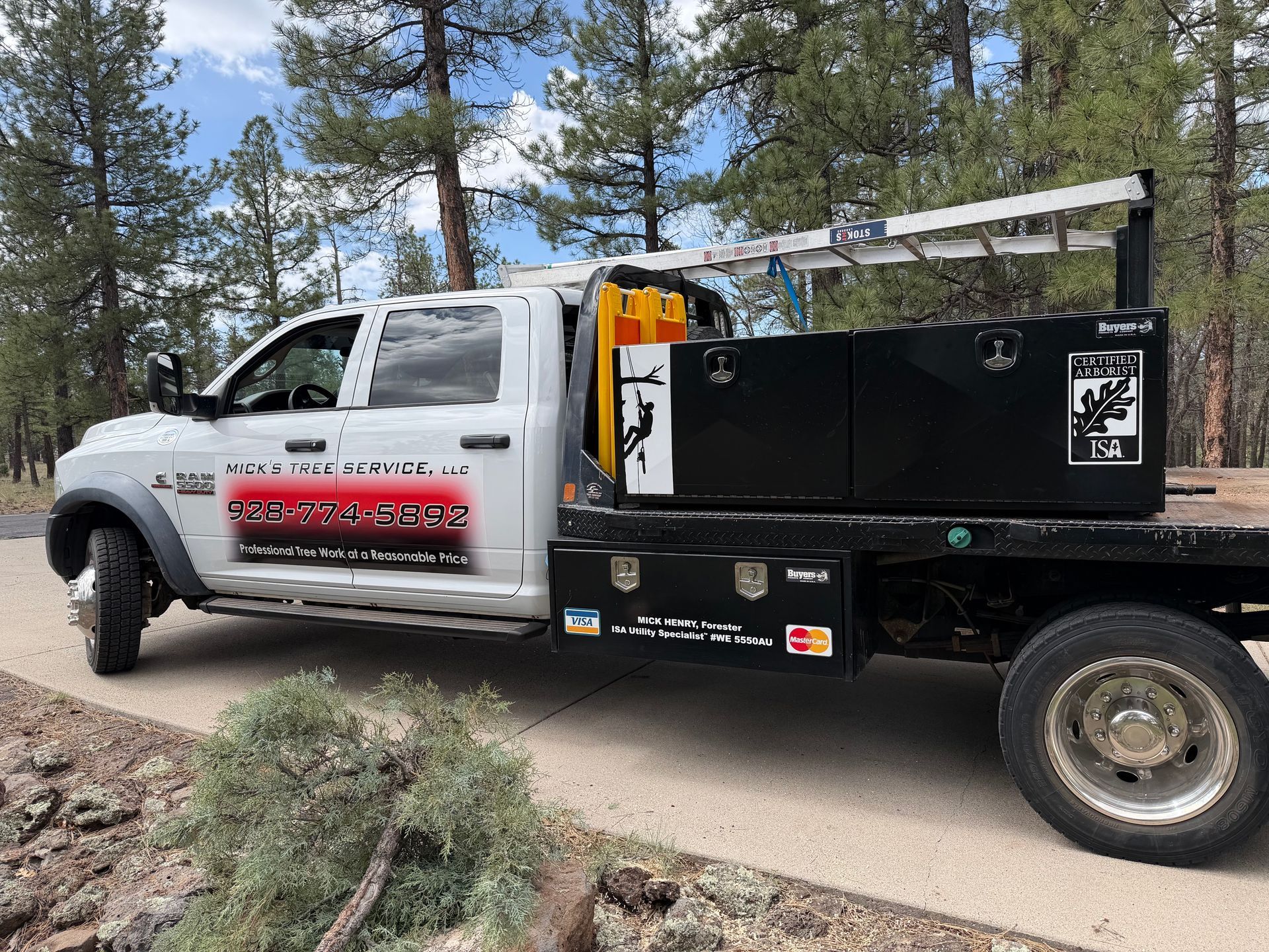 White utility truck with black equipment bed parked on a forest road beside pine trees