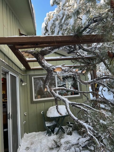 Snow-covered patio beside a green house with a fallen tree branch blocking the area