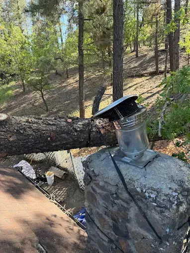 Fallen tree and broken branches blocking a roadside near houses after storm damage