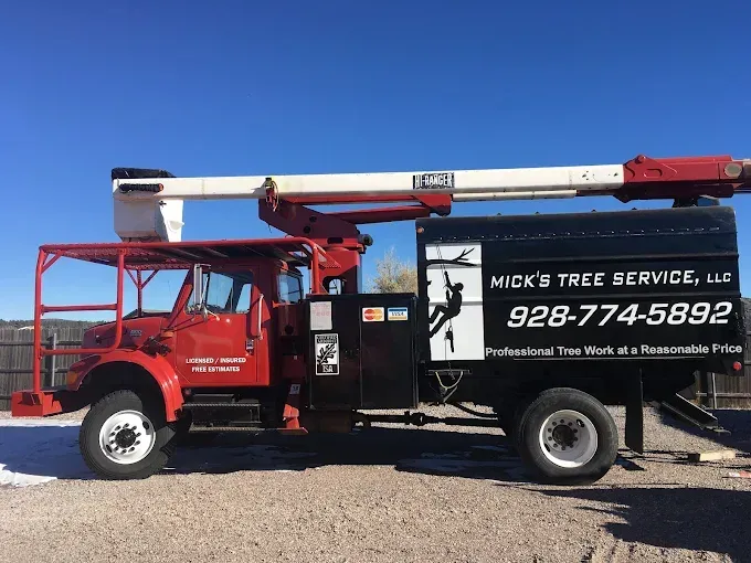 Red bucket truck with “Mike’s Tree Service” sign and phone number parked outdoors under a clear blue sky