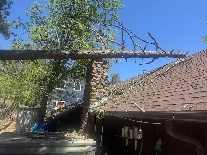 Storm-damaged yard with a broken tree branch over a collapsed roof and brick chimney.