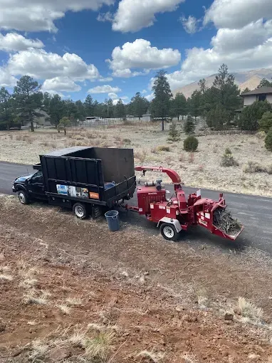 Black dump truck and red wood chipper on a dirt roadside under a cloudy blue sky.