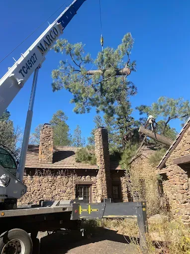Crane lifting a tree beside a stone building under a clear blue sky
