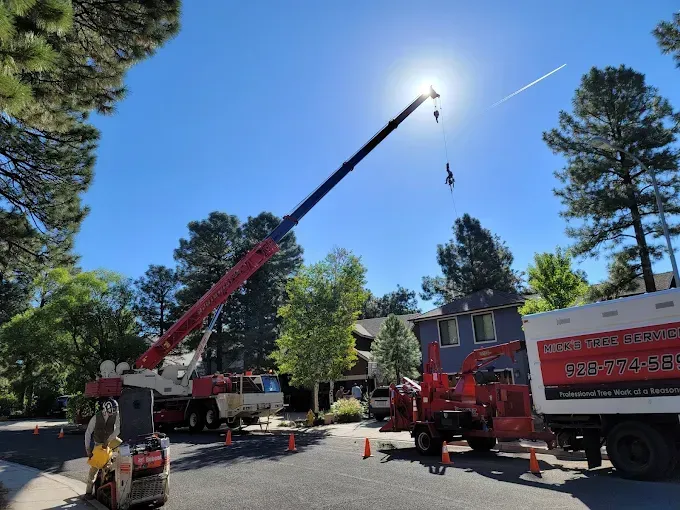 Two cranes lifting near a roofline on a sunny street, with workers and trucks below