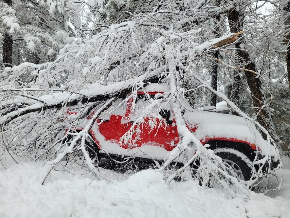 Red car buried in snow under fallen tree branches in a snowy forest.