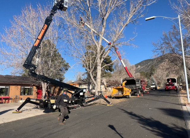 Crane and workers clearing storm-damaged trees on a residential street, with trucks and debris.