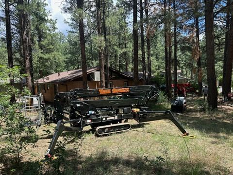 Forest clearing with a brown cabin and a green combine harvester among tall pine trees.