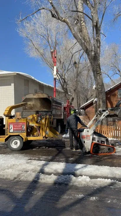 Tree worker cutting a large trunk with a chainsaw beside ivy-covered bark in a sunny outdoor setting