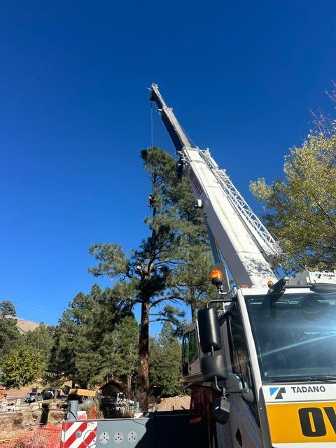 Crane with extended boom lifting near tall trees under a clear blue sky