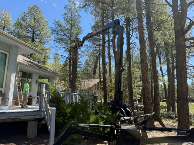 Wooded backyard with a house deck and a black oil pump jack among tall trees