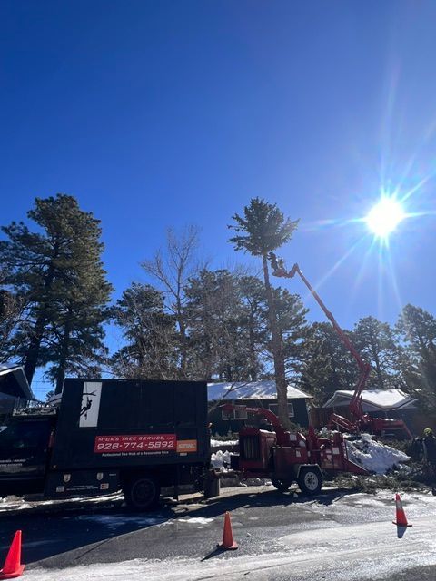 Construction truck clearing snow on a sunny roadside with cones and trees nearby