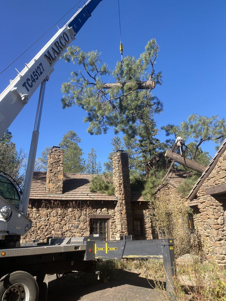 Crane lifting a tall tree beside a rustic stone building under a clear blue sky