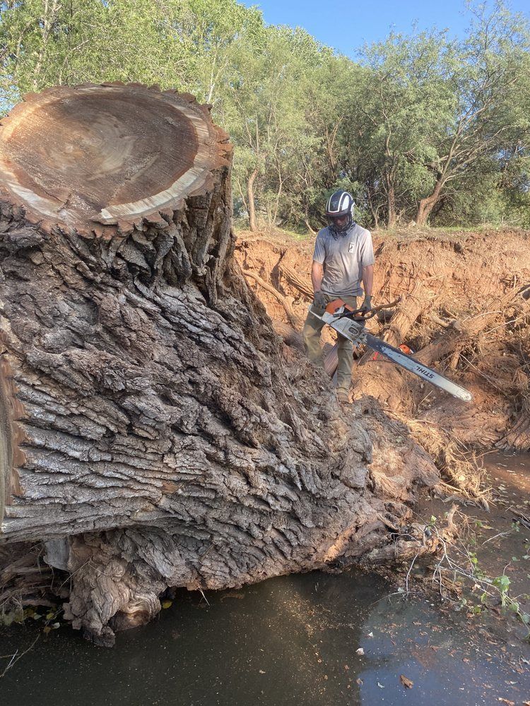 Person cutting a large tree trunk beside water with a chainsaw in a wooded area