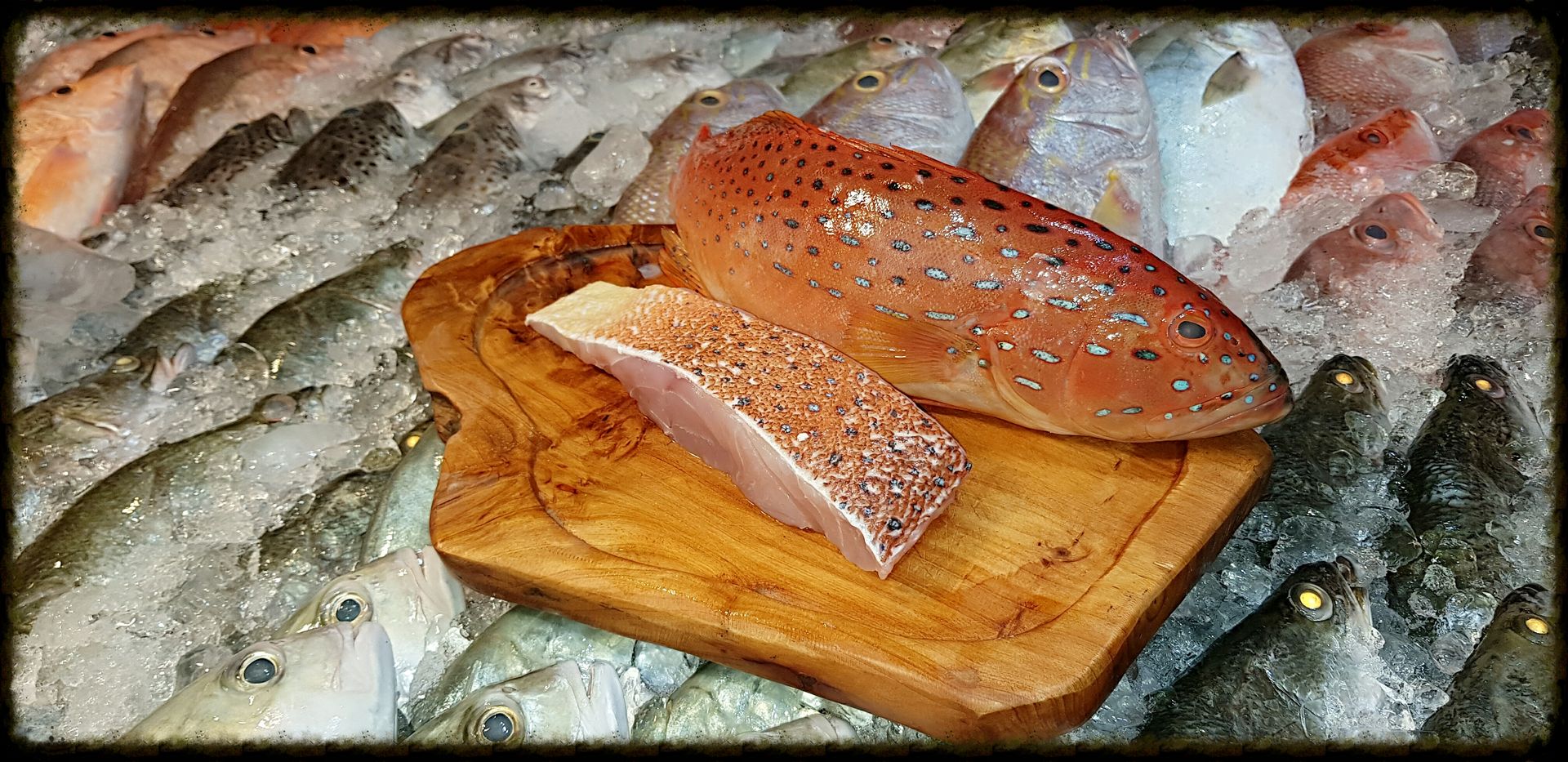 Wild Caught Red Grouper