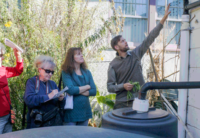 Berkeley EcoHouse​ 8