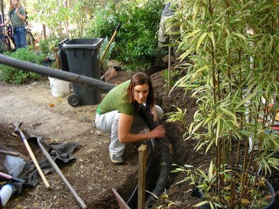 Berkeley EcoHouse​ 3