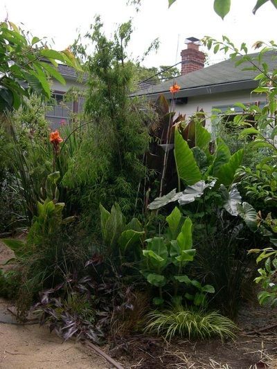 Berkeley EcoHouse​ 6