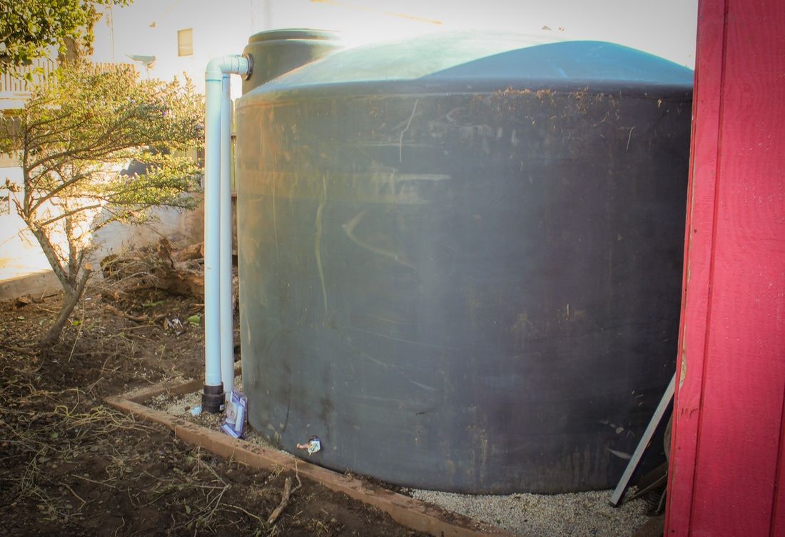 Rainwater