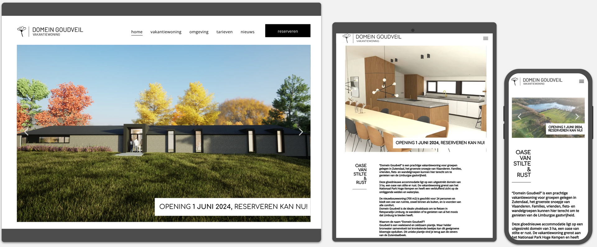 Webvizi Webdesign Lanaken, Maastricht