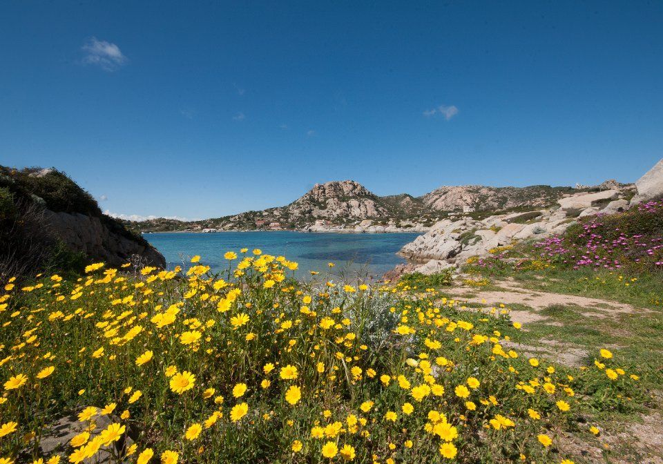 Spiagge e dintorni