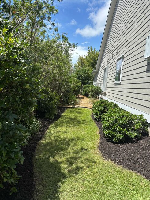 Narrow grassy side yard beside a gray house, with bushes and trees in bright sunlight