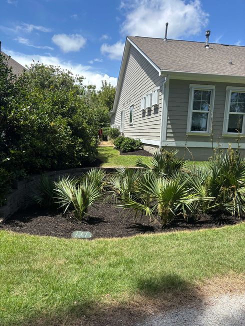 Front yard garden with shrubs and ornamental grasses beside a gray house under a blue sky