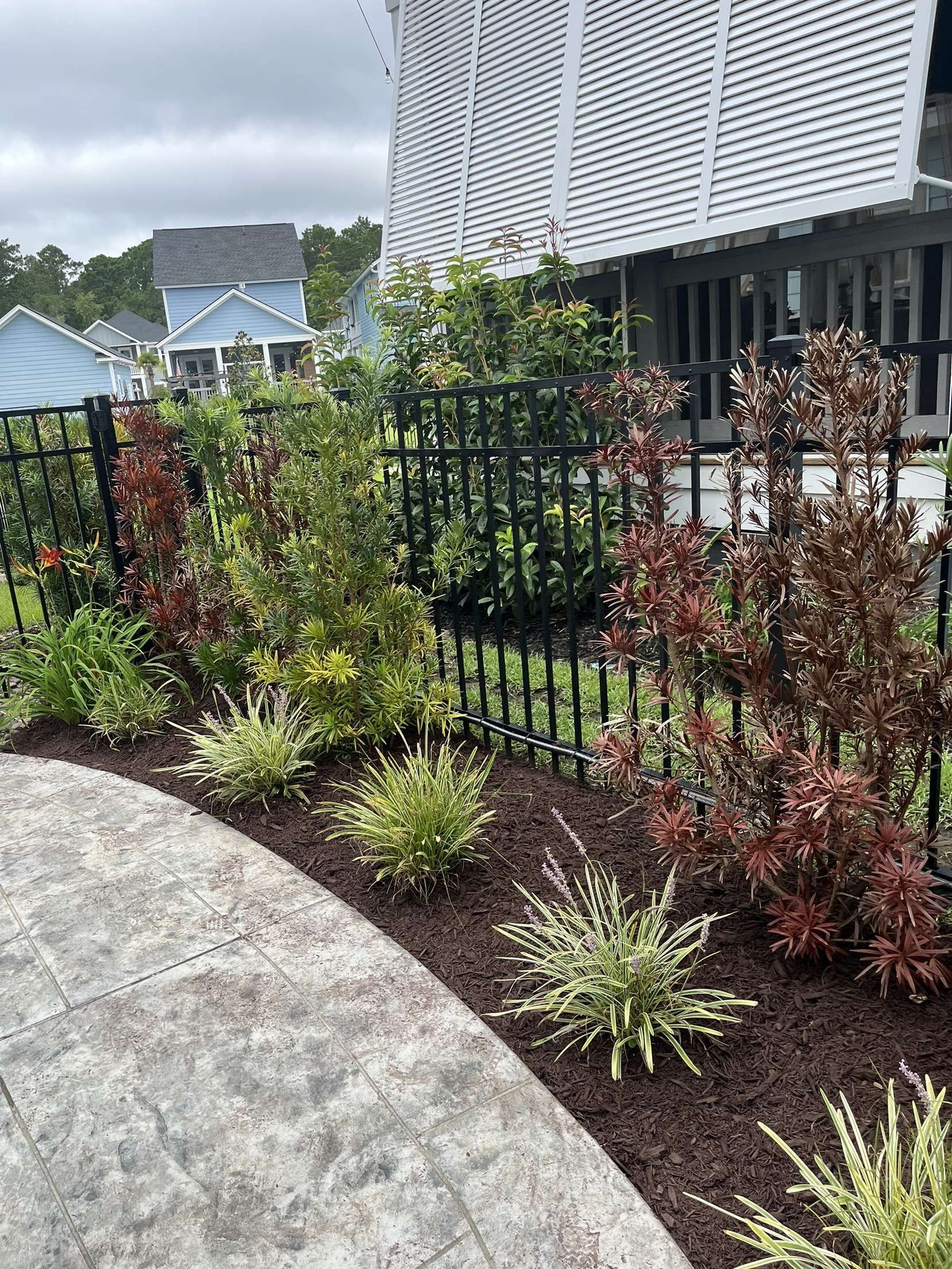 Landscaped garden bed with shrubs and a black fence beside a curved stone path, near houses and a building.