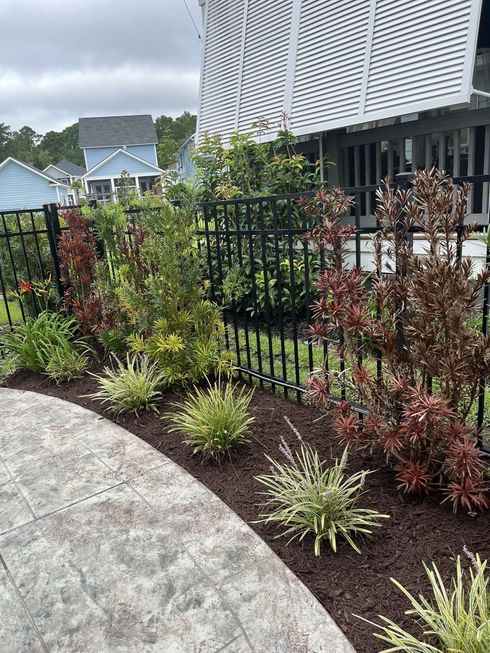 Landscaped garden bed with shrubs and a black fence beside a curved stone path, near houses and a building.