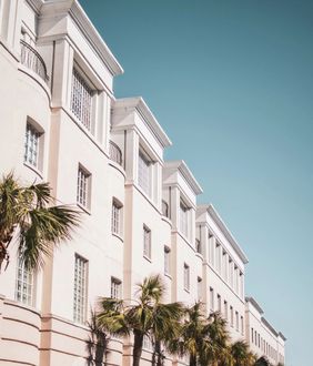Real A large white building with palm trees in front of it