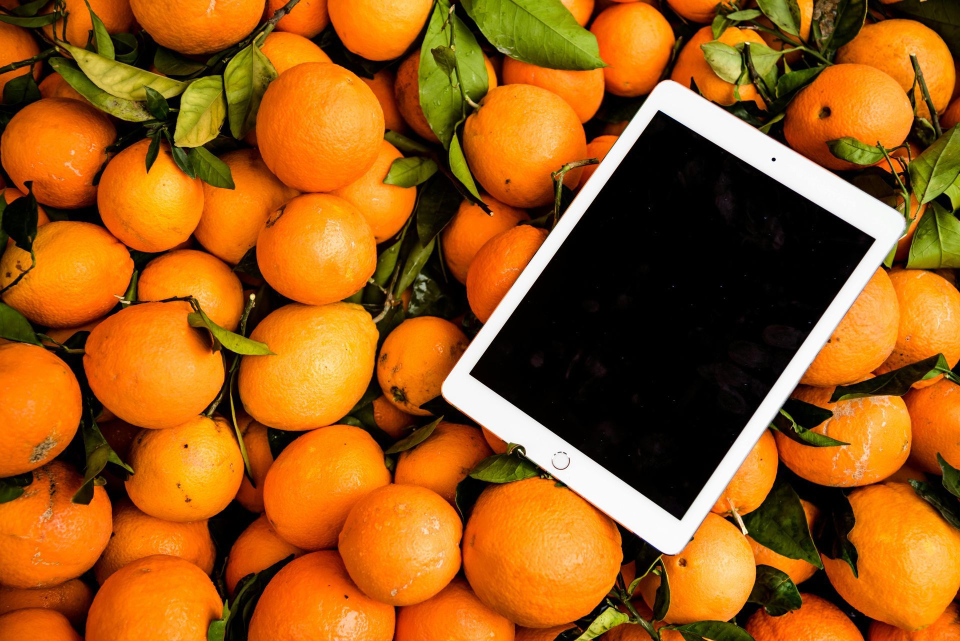 A tablet is sitting on top of a pile of oranges.