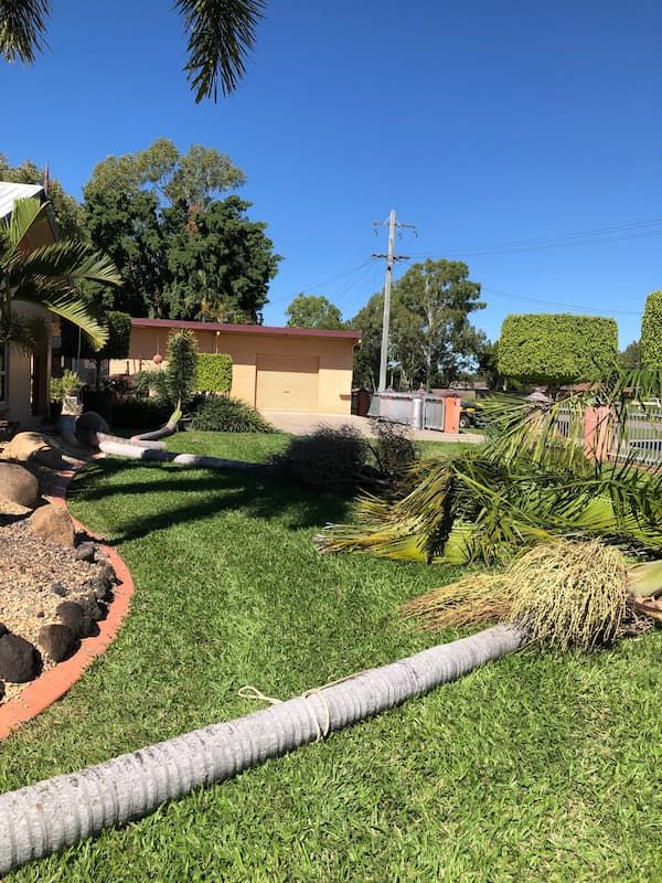 Jack's Backhoe & Borer Hire Excavator Hire Townsville