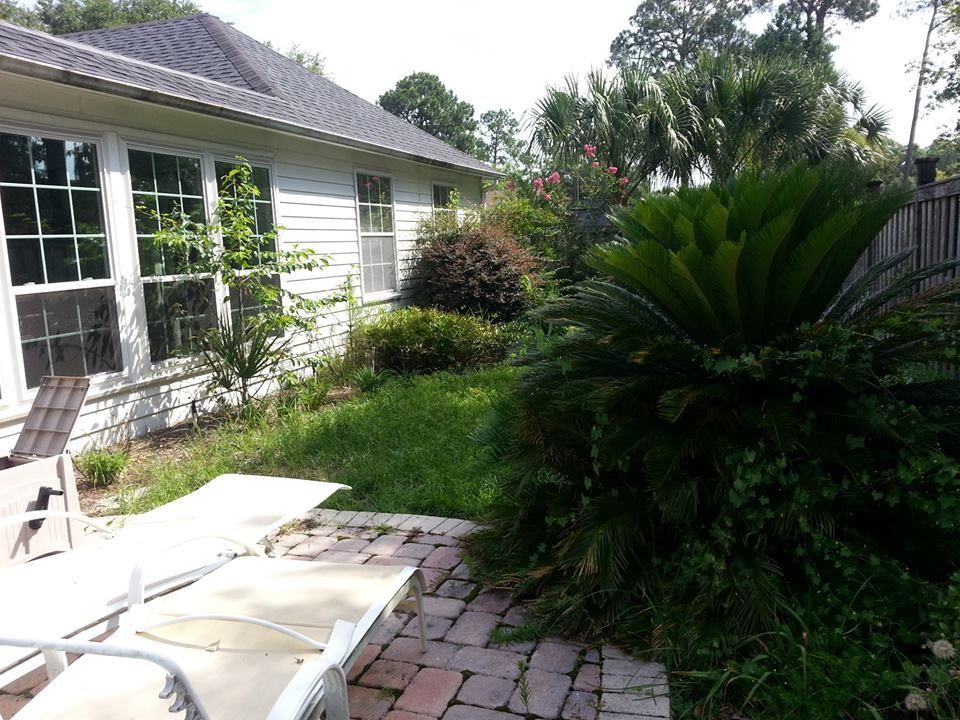 A sunny backyard patio features two lounge chairs on a brick walkway beside a white house and large tropical plants.