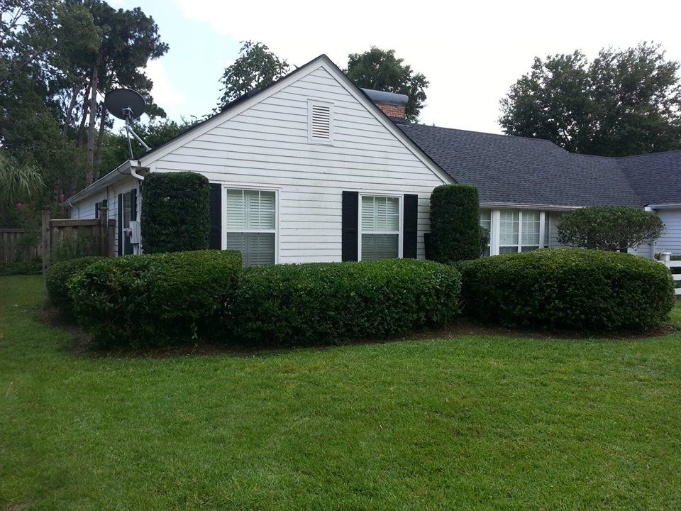 A white, single-story house with a grey shingled roof, dark shutters, and neatly trimmed green hedges in the front yard.