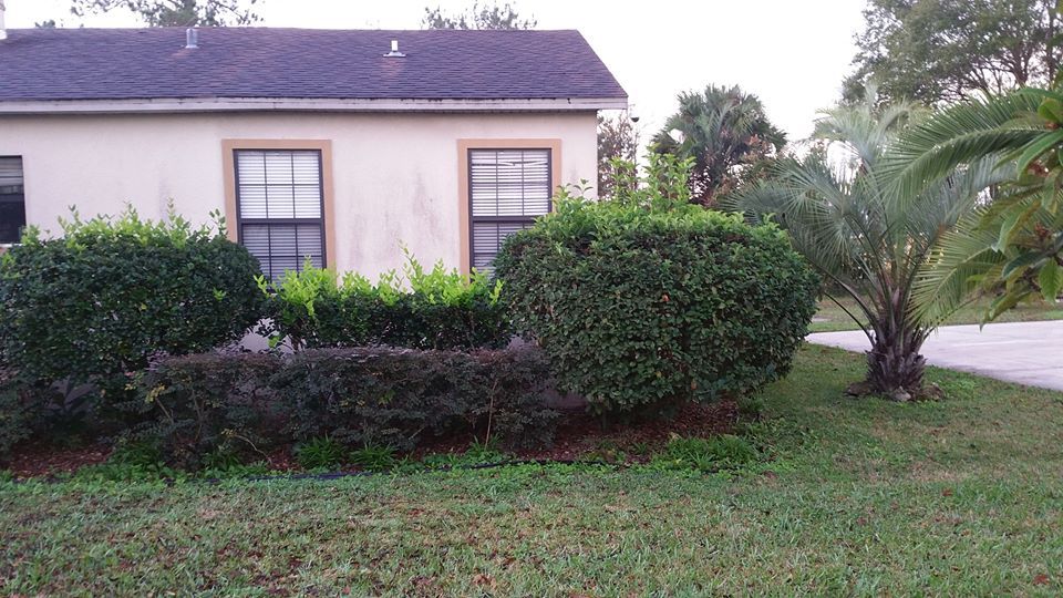 A light-colored house exterior with dark shingled roof, windows, and manicured green hedges in the front yard.