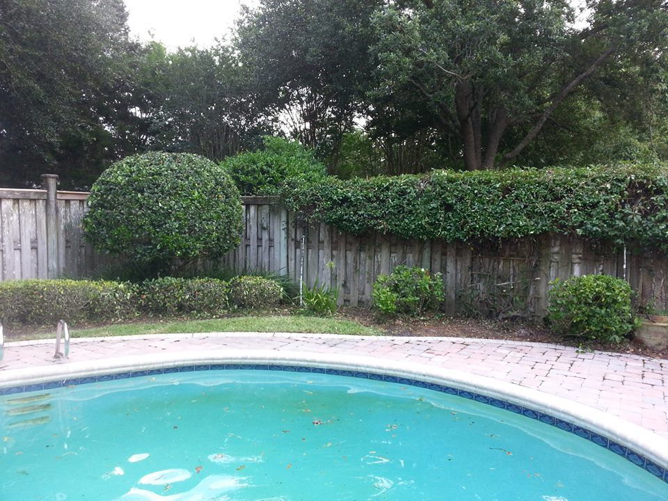 A swimming pool with turquoise water bordered by a light-colored brick patio, a wooden fence, and neatly trimmed hedges.