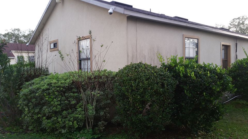 A side view of a light-colored stucco house with brown-trimmed windows, partially obscured by green hedges.