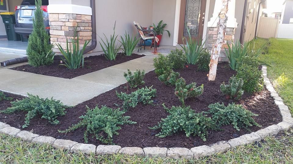 A landscaped front yard featuring dark mulch, various green shrubs, a small ornamental tree, and a stone garden border.