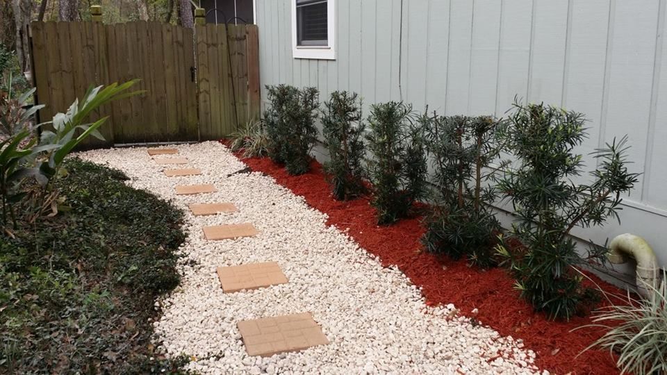 A garden path made of white gravel and brown pavers, bordered by red mulch and small evergreen shrubs beside a house wall.