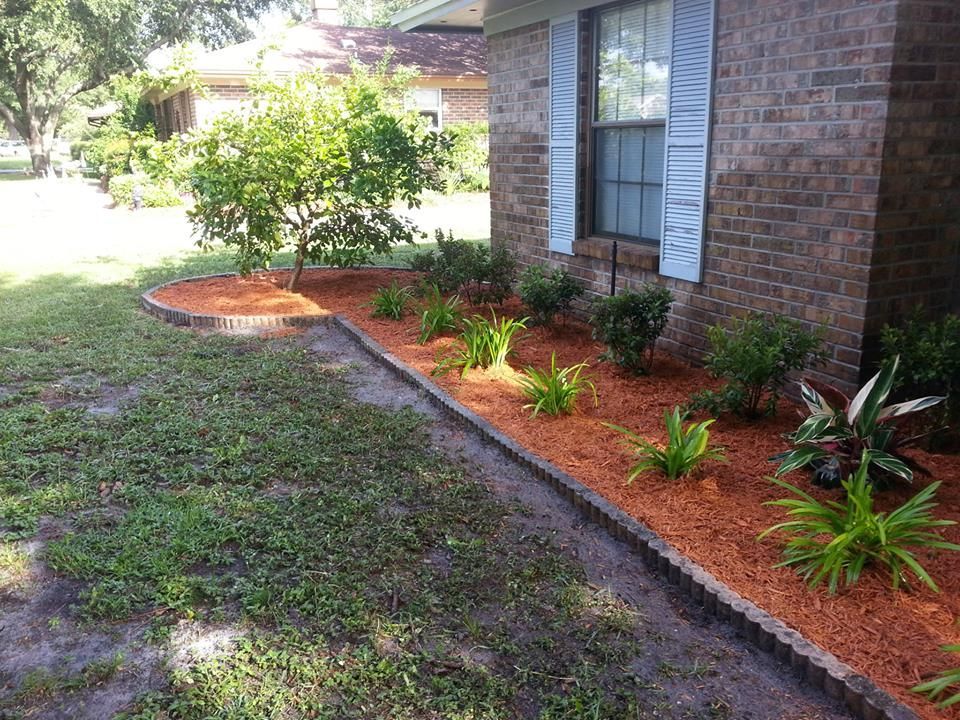 A red-mulched garden bed with various small green plants and a small tree, bordered by bricks along a brick house exterior.