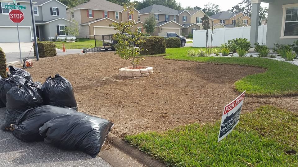 Residential front yard under renovation with black refuse bags, a central tree, and mulch-covered ground.
