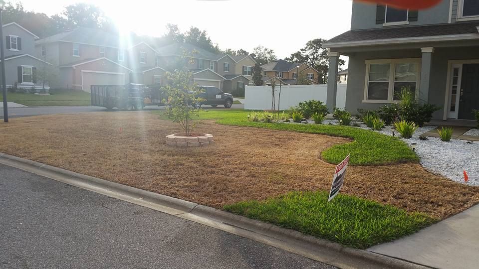 A house with a front yard featuring a mix of brown dormant grass, patches of green turf, a small tree, and white rock beds.